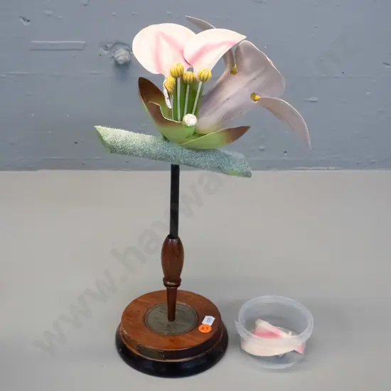 vintage Robert Brendel botanical model on separate wooden stand and base - No. 55 - Daphne H-380. Some damage, some