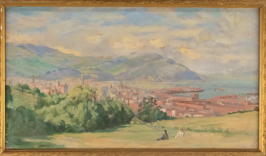 unsigned framed oil - Dunedin from Unity Park or thereabouts  H-220 W-390 (slight age damage) Image 1++