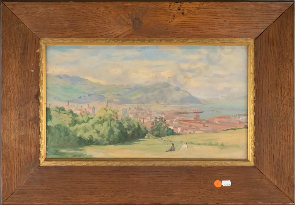 unsigned framed oil - Dunedin from Unity Park or thereabouts  H-220 W-390 (slight age damage) Image 1++