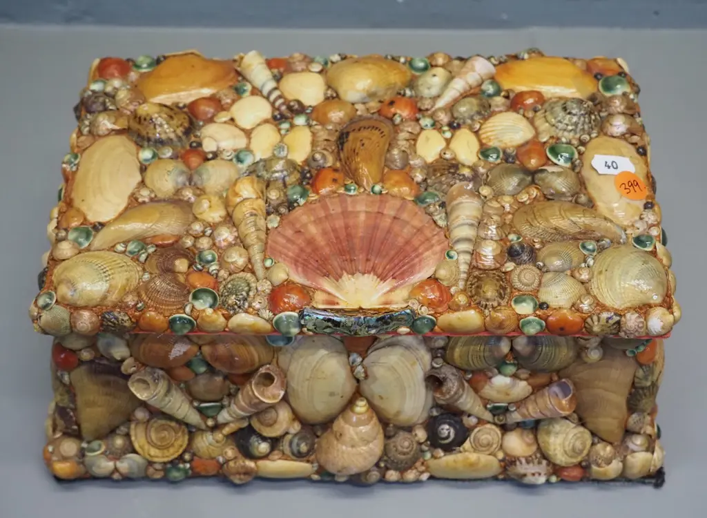 shell-encrusted jewellery or trinket box with hinged lid, red velvet lining H110 W260 D170 Image 1++