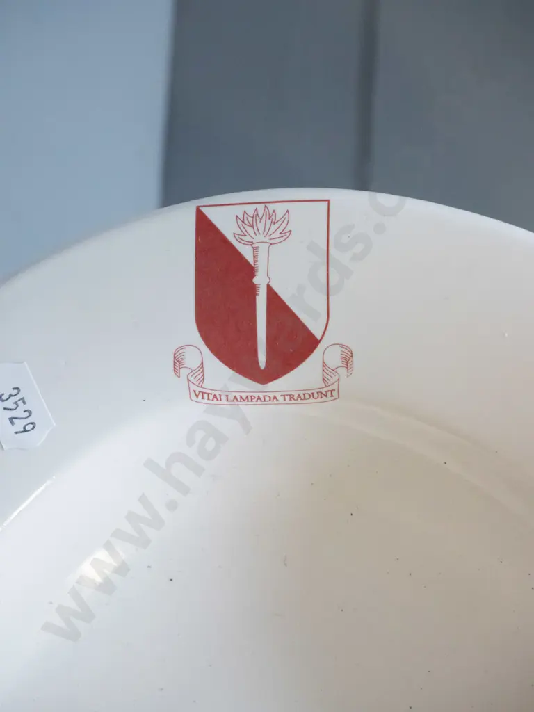 Temuka pottery oval platter / ashett with Selwyn College motto L-440 W-300 Image 1++