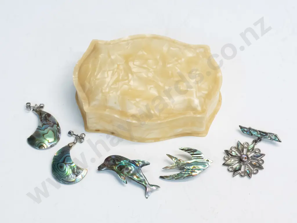 3 paua shell booches & pair paua shell earrings in bakelite lidded container Image 1++