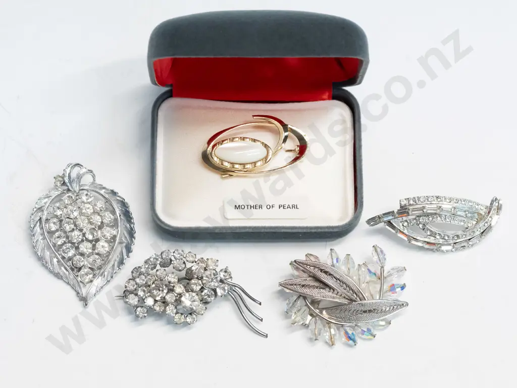 mother of pearl brooch & 4 costume brooches Image 1++