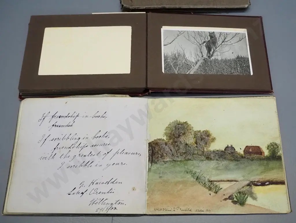 2 vintage photo albums with NZ photos and postcards - Wanaka, Dunedin, Wellington family photo and an autograph book w/ Image 1++