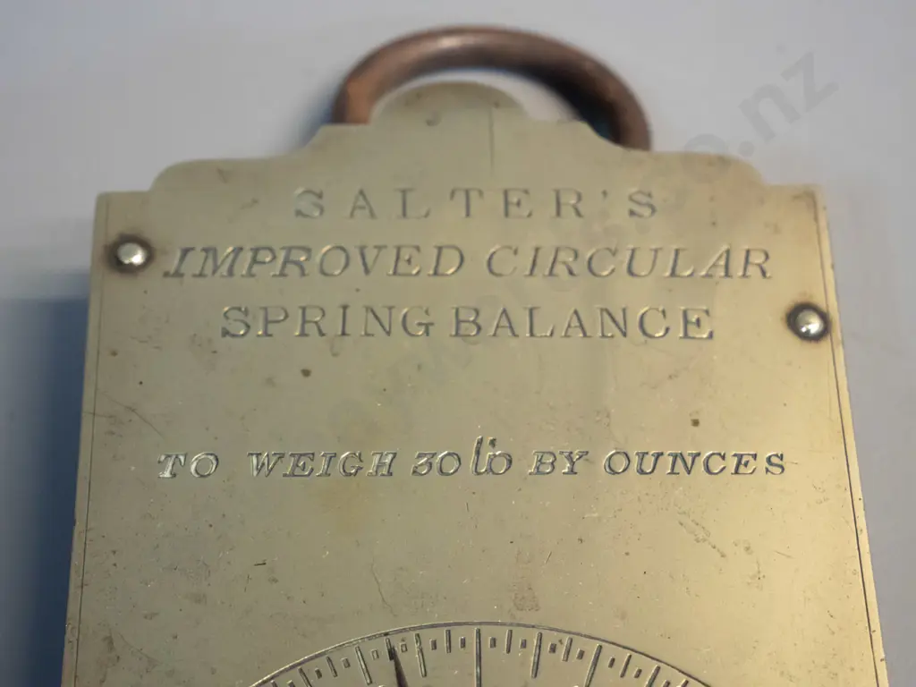 vintage Salter hanging spring scales with brass face-plate - marked To Weigh 30lb by Ounces W-105 H-390 including hooks Image 1++