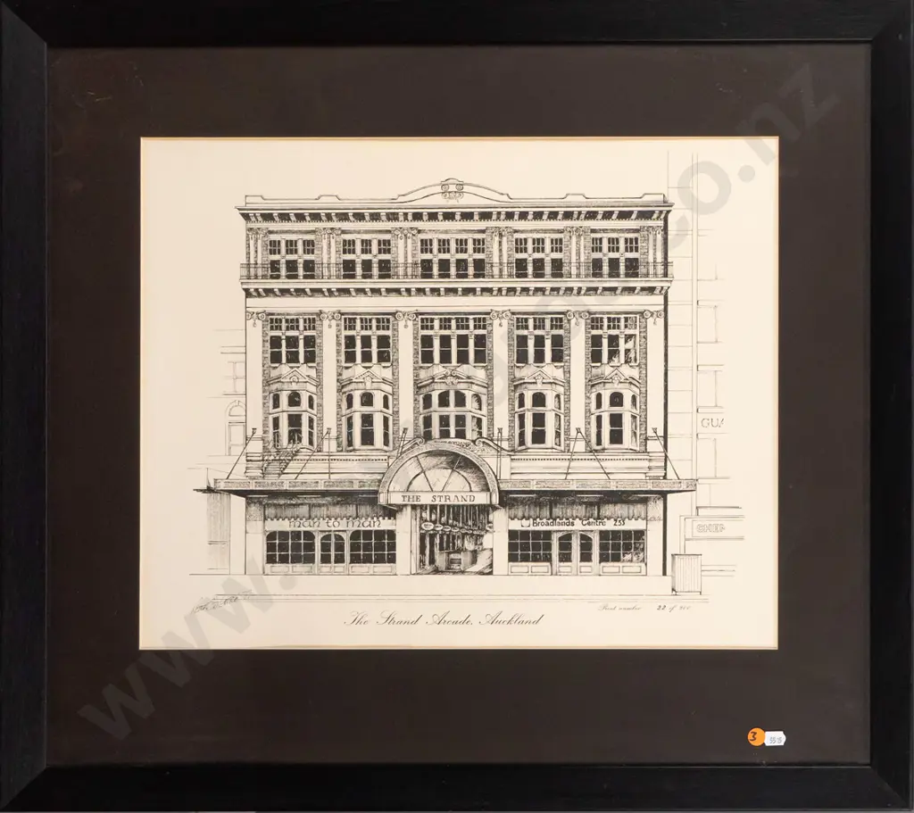 framed Peter Leitch '77 ltd edition print 22/200 "The Strand Arcade, Auckland" H-400 W-500 Image 1++