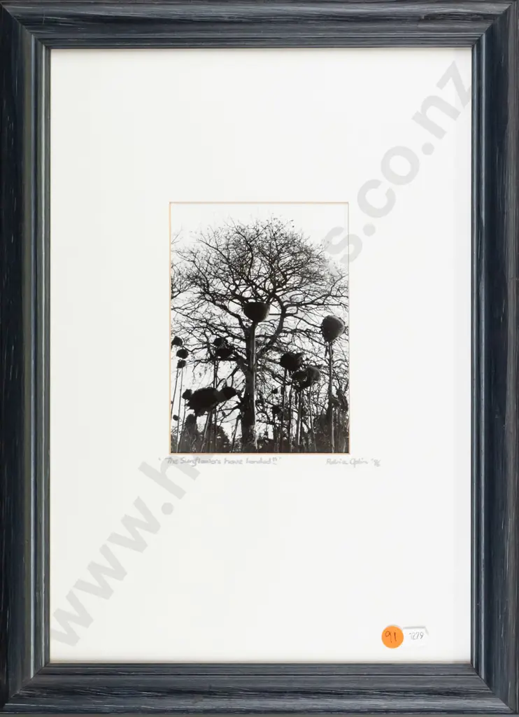 Patricia Aplin '96 - framed photograph "The Sunflowers have landed" H-160 W-110 Image 1++