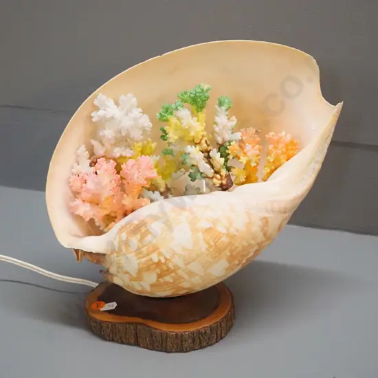 retro shell table lamp on wood base, with painted coral decoration inside H-270 L-300