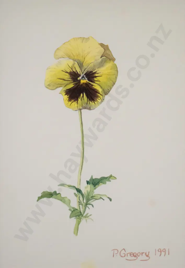P Gregory 1991 - framed watercolour - primrose H-240 W-160 Image 1++