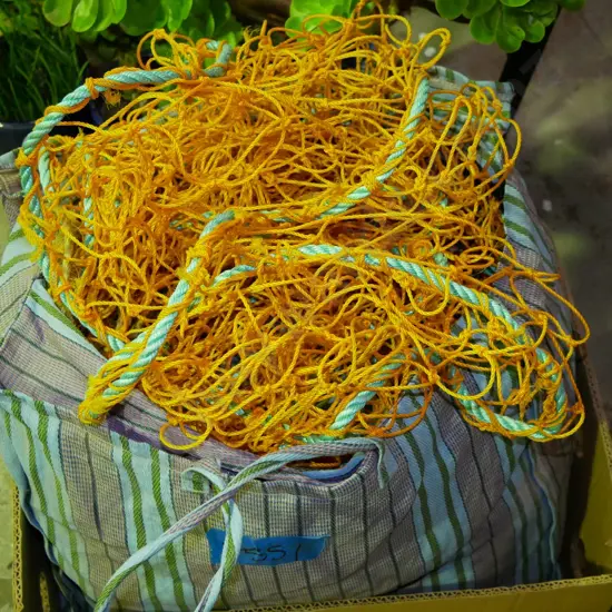 box; fishing net