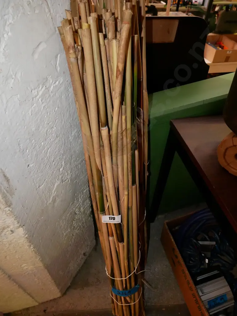 2x bundles of bamboo garden stakes Image 1++