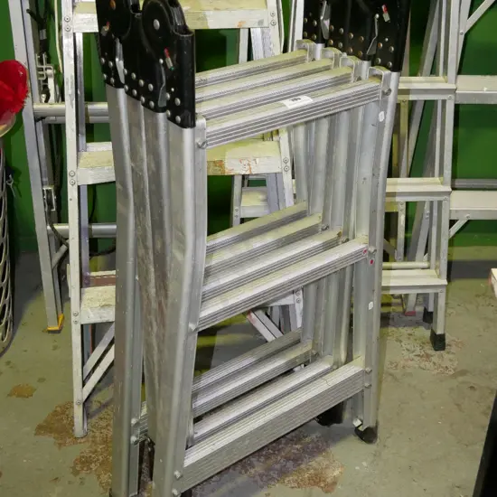 multi ladder