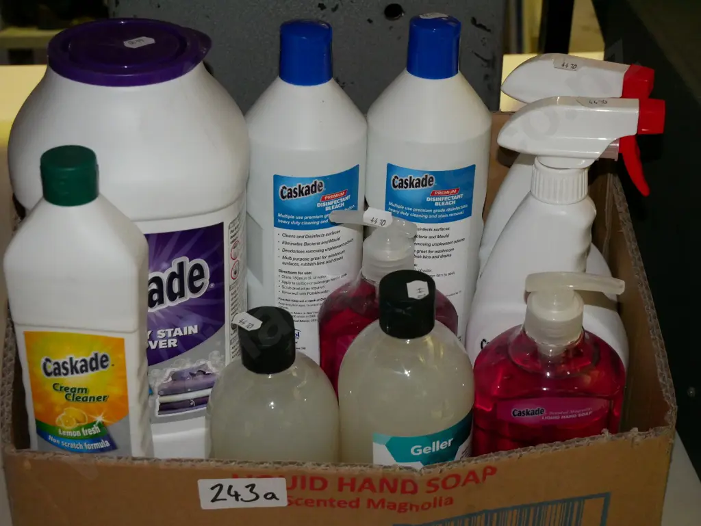 box of household cleaners, soap, bleach Image 1++