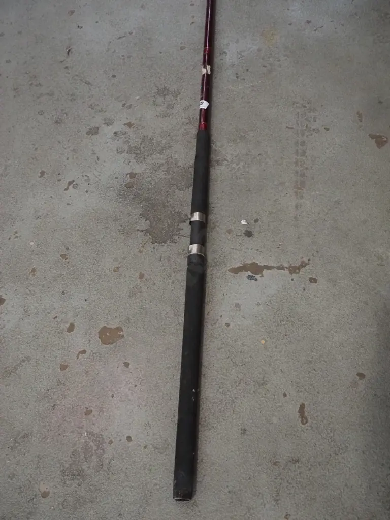 surf caster rod Image 1++