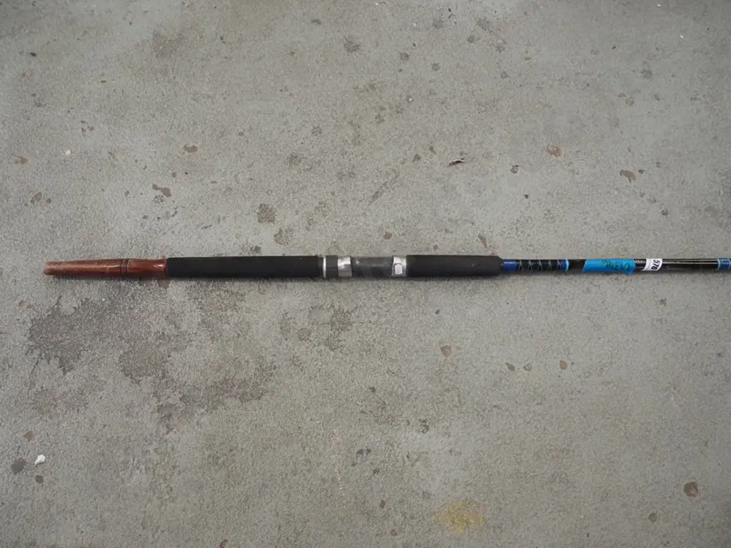 fishing rod Image 1++