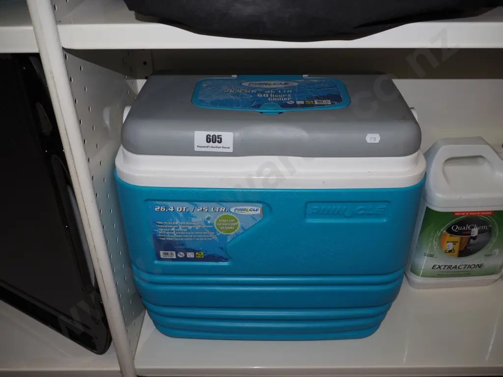 chilly bin Image 1++