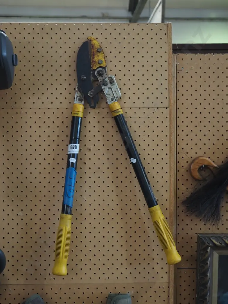 tree loppers Image 1++