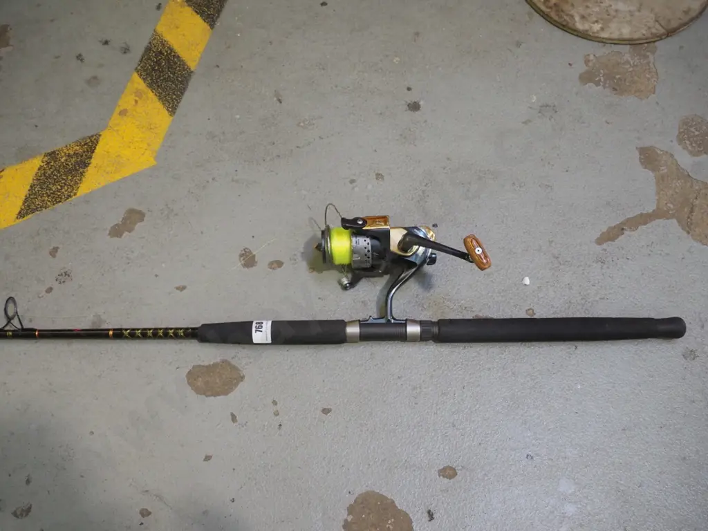 fishing rod and reel Image 1++