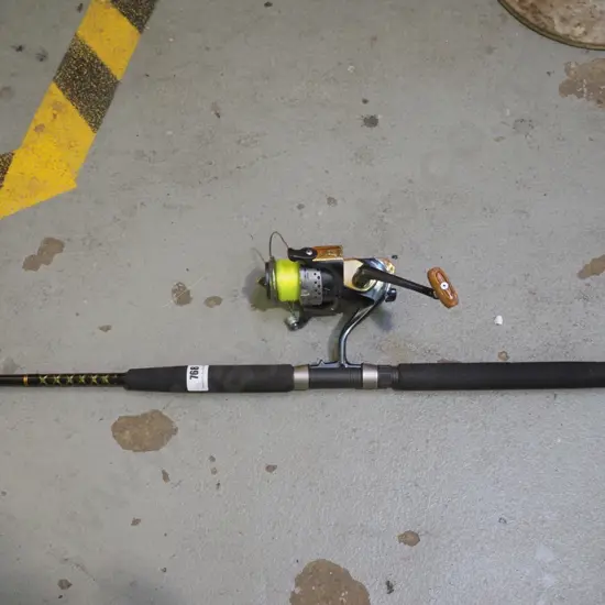 fishing rod and reel