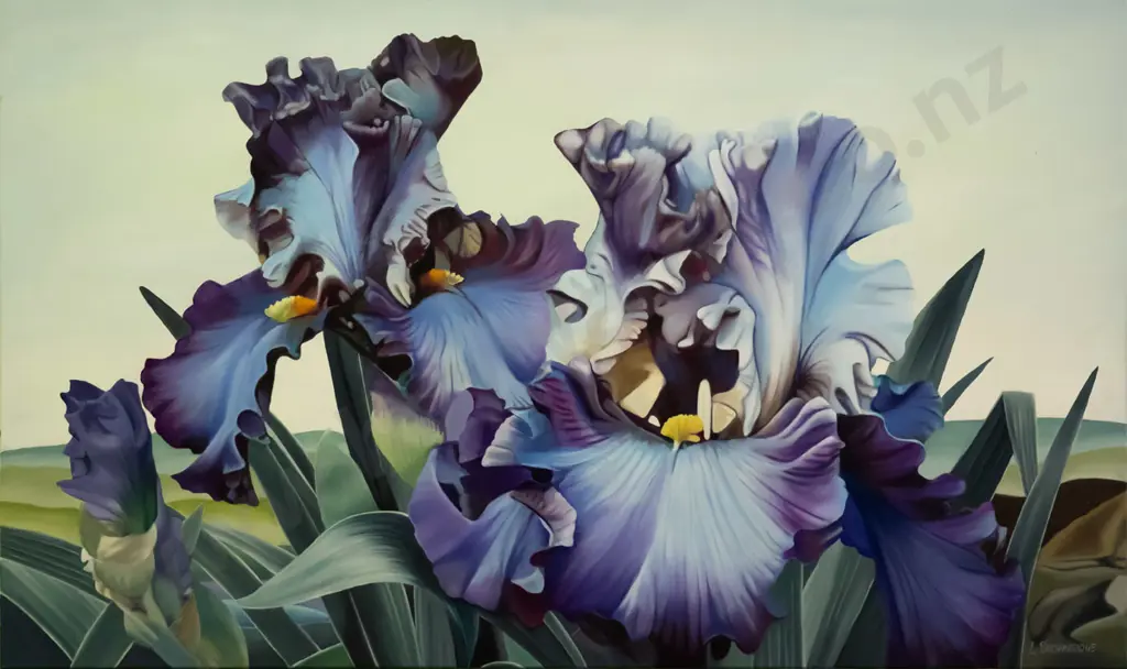 Lynley Brownridge - boxed oil on canvas - irises H-610 W-1020 Image 1++