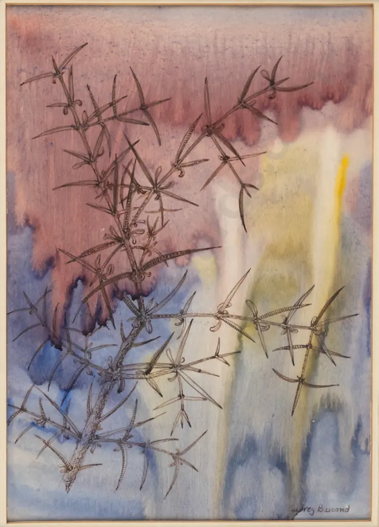 Audrey Bascand - framed ink and watercolour "Matagouri" H-260 W-180 Image 1++