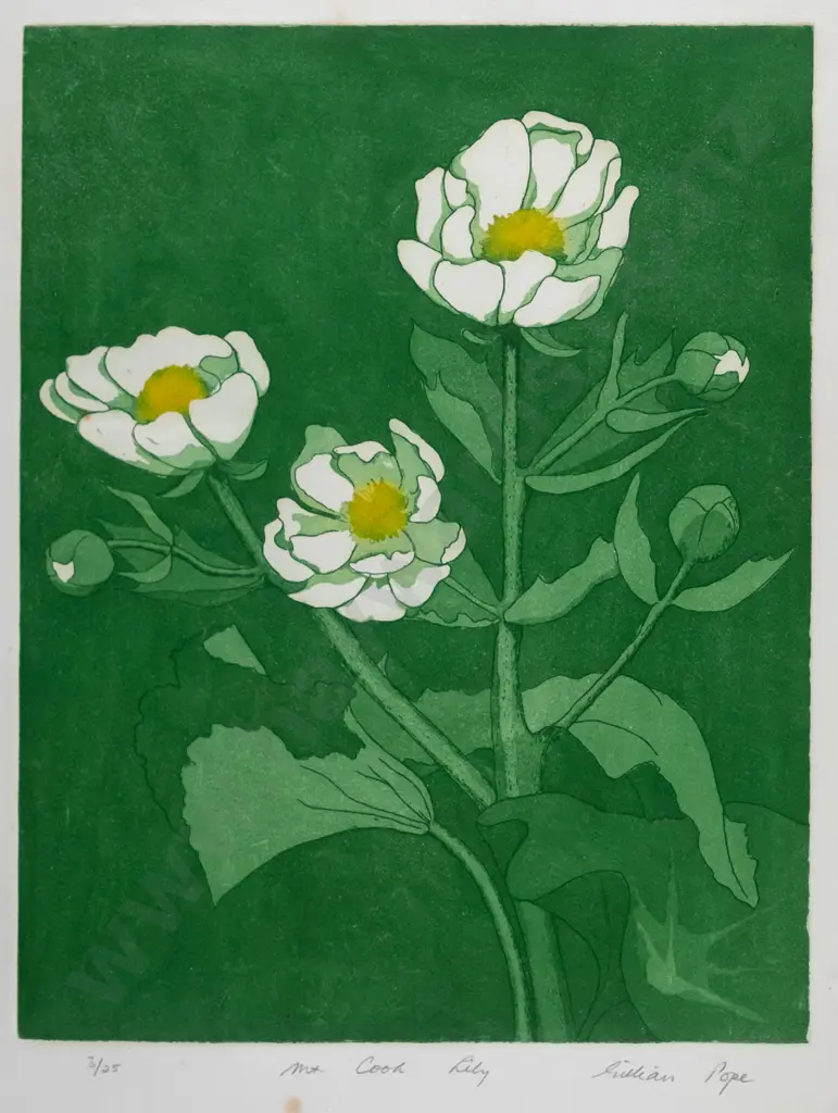 Gillian Pope - framed  screenprint 3/25 "Mt Cook Lily" H-310 W-240 (slight foxing) Image 1++