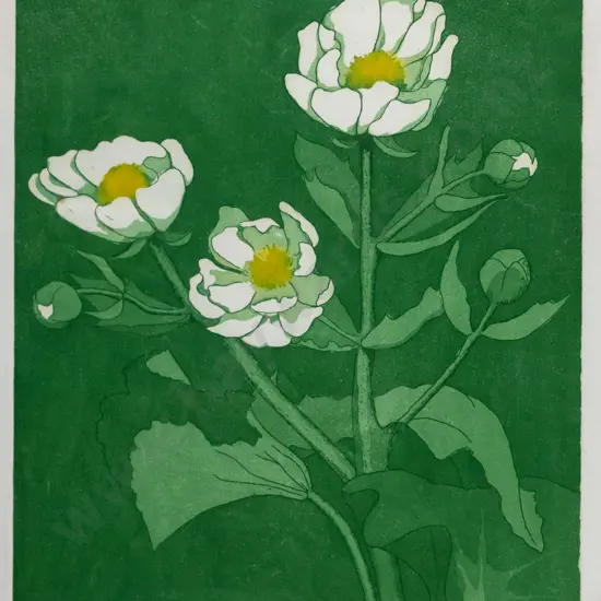 Gillian Pope - framed  screenprint 3/25 "Mt Cook Lily" H-310 W-240 (slight foxing)