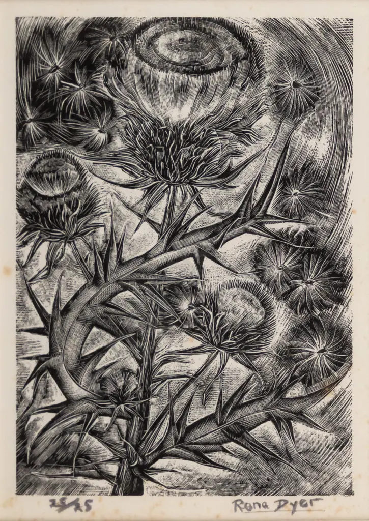 Rona Dyer - framed wood engraving "Thistle" H-200 W-150 Image 1++