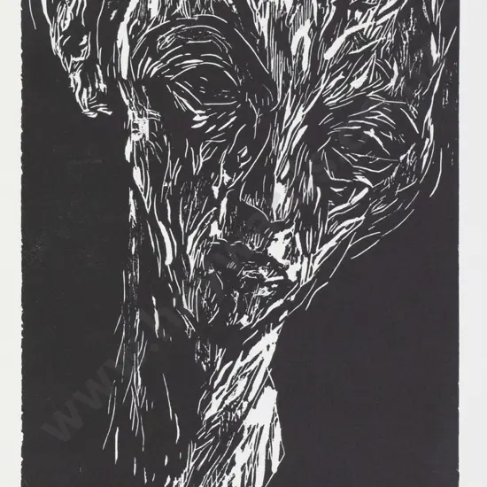 Isaac Francis Leuchs '95 -  unframed print 2/20 "Face" H-285 W-190