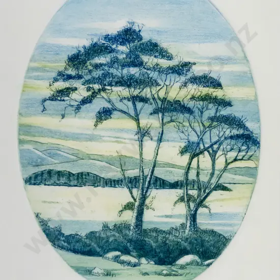 Heather Maxwell - framed ltd edition print 1/3 "Papatowai - Catlins Coast" H-290 W-230