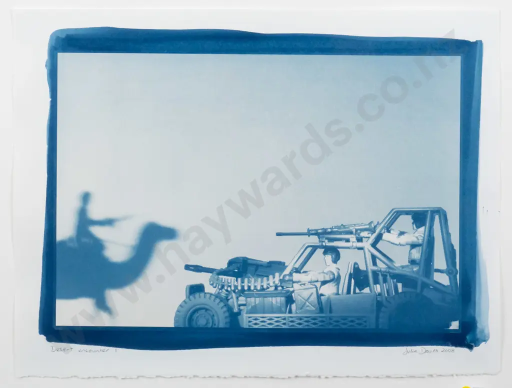 Julia Davies 2008 - framed cyanotype "Desert Encounters I" H-350 W-510 Image 1++