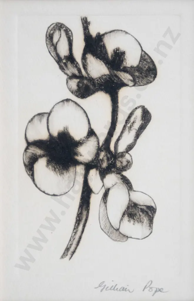 Gillian Pope - framed etching - flowers H-150 W-95 Image 1++