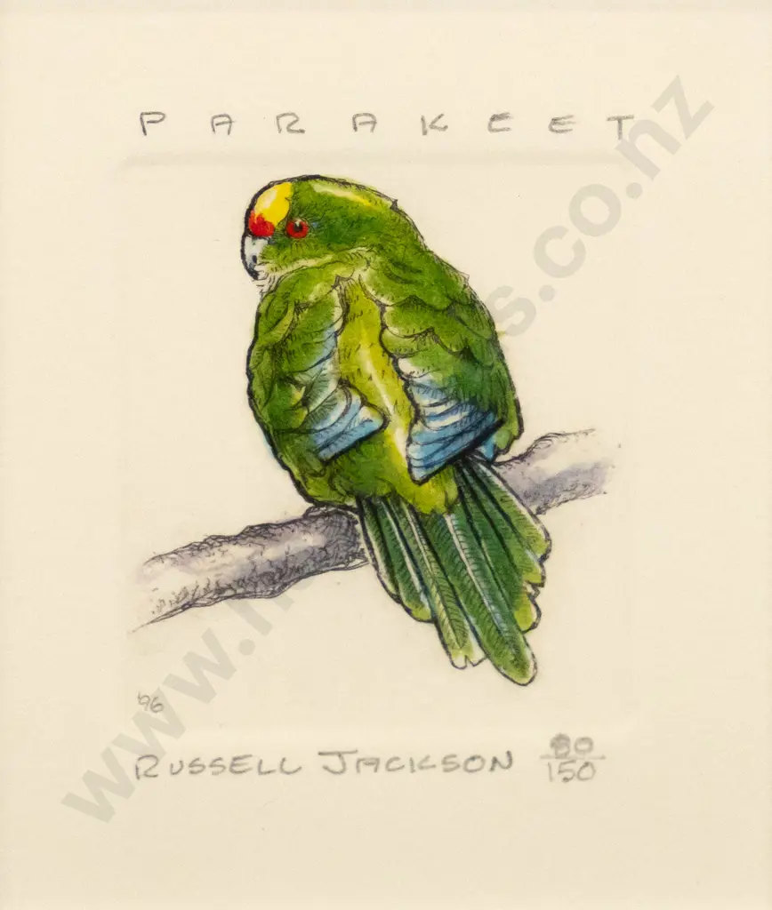 Rusell Jackson - framed ltd edition print 80/150 :Parakeet" H-70 W-55 Image 1++