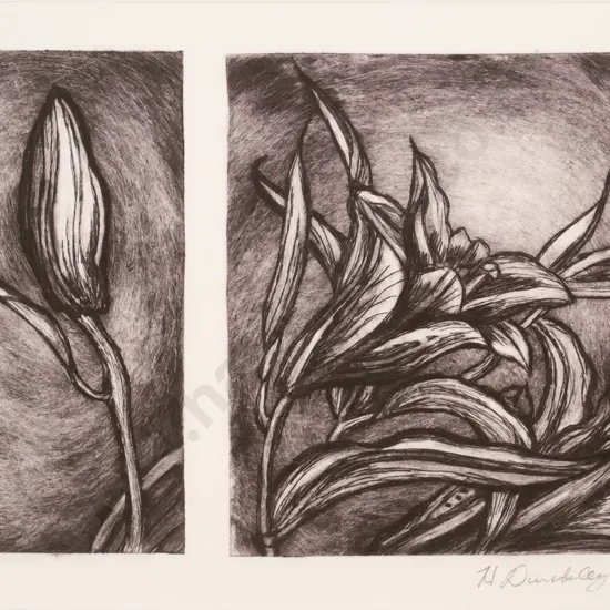 Heather Dunkley '02 - mounted print 1/2 - flowers H-140 W-180