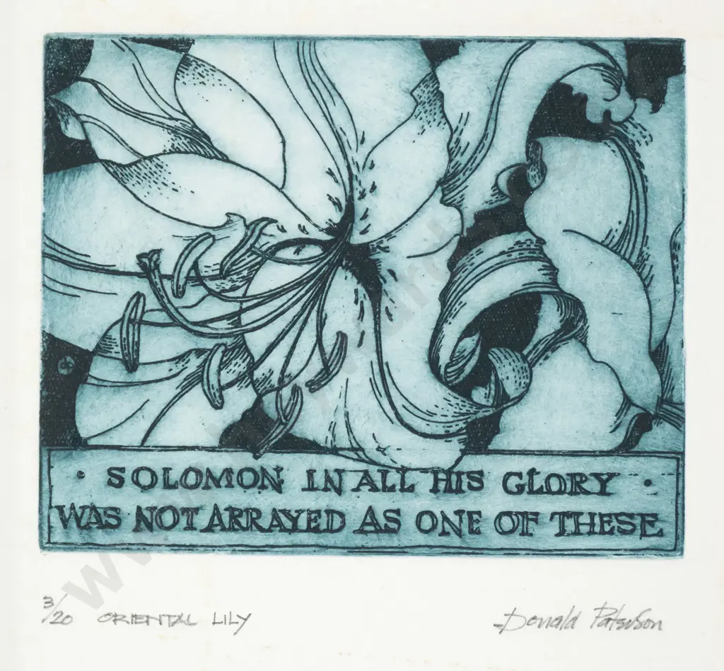 Donald Paterson - framed etching 3/20 "Oriental Lily" H-130 W-150 Image 1++