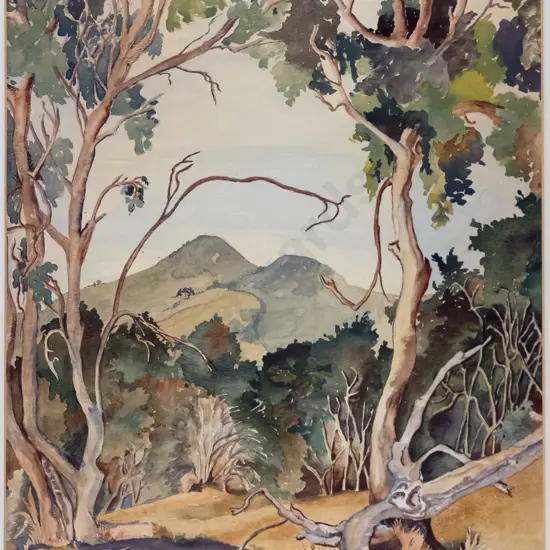 Joan Brickell - framed watercolour - Saddle Hill H-450 W-360