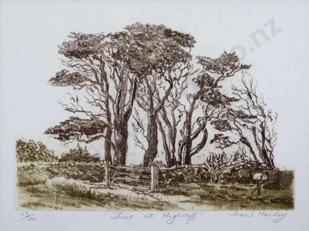 Joan Hardy - framed ltd edition print 13/20 " Trees at Highcliff" H-205 W-280 Image 1++
