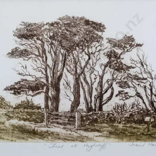 Joan Hardy - framed ltd edition print 13/20 " Trees at Highcliff" H-205 W-280