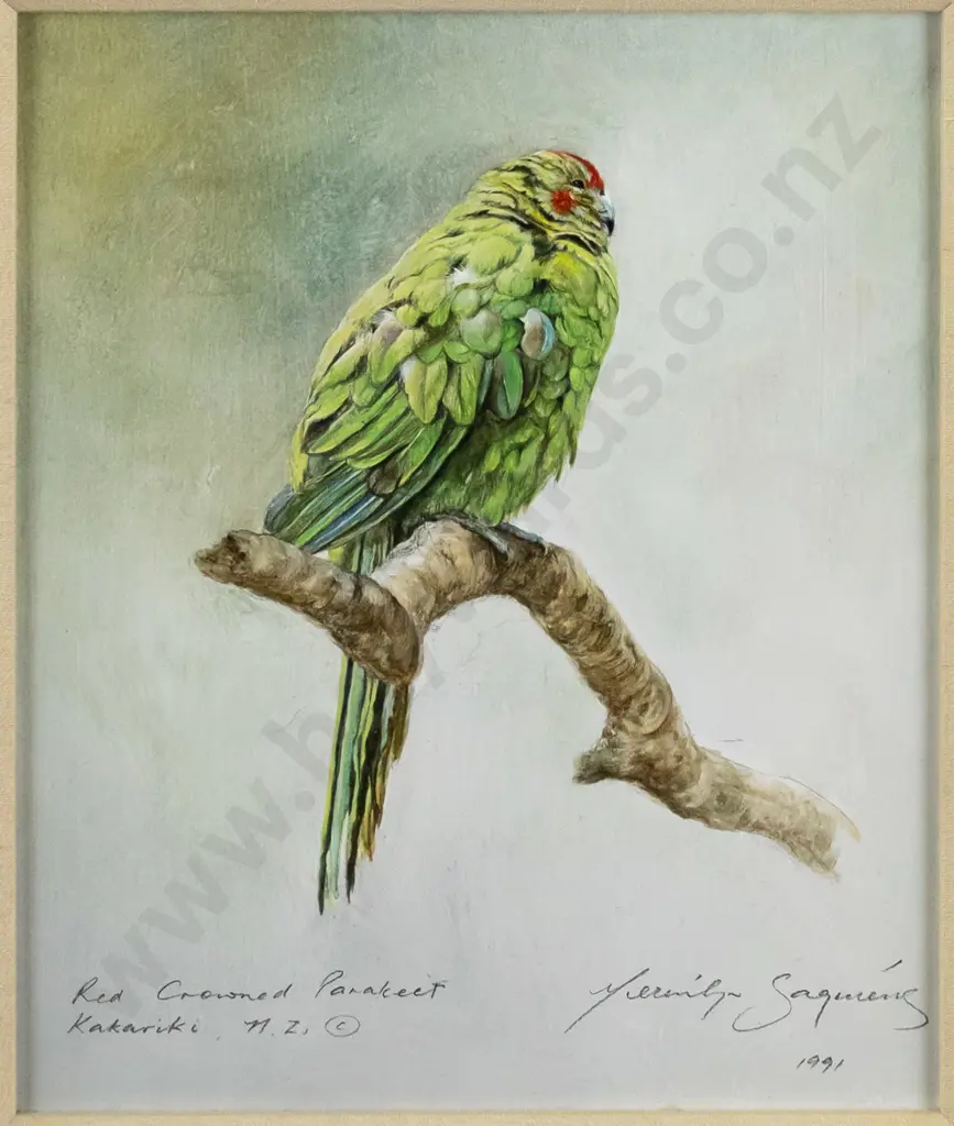 Merrilyn Jaquiery 1991 - framed watercolour "Red Crowned Parakeet, Kakariki" H-280 W-230 Image 1++