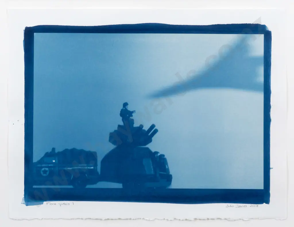 Julia Davies 2008 - framed cyanotype "Plane Spotters I" H-350 W-510 Image 1++