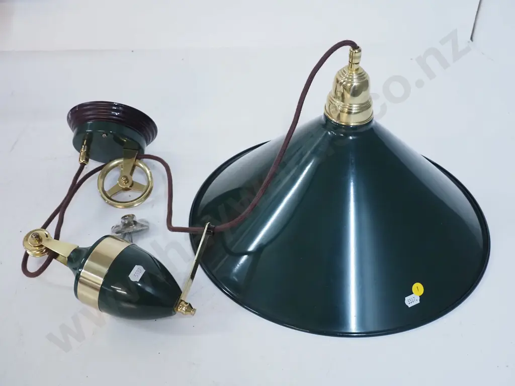 green enamelled metal and brass trimmed rise & fall light fitting D-380 Image 1++