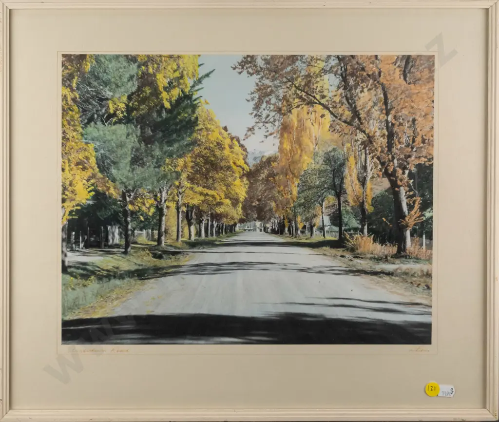 framed whites Aviation hand coloured photograph "Arrowtown Road' H-285 W-360 Image 1++
