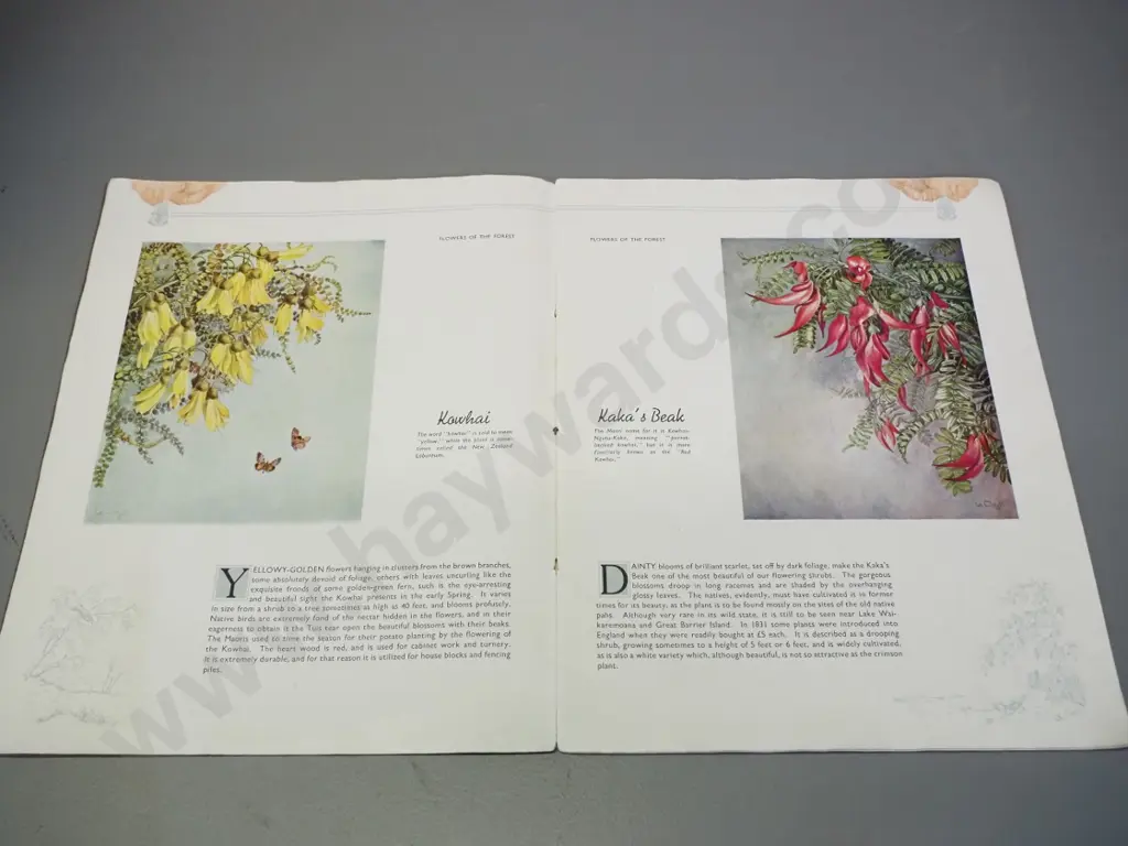 3 NZ books - Tales of Maoriland and Maori Tales of Long Ago (1958) - both pub. AW Reed and New Zealand Flowers & Birds Image 1++