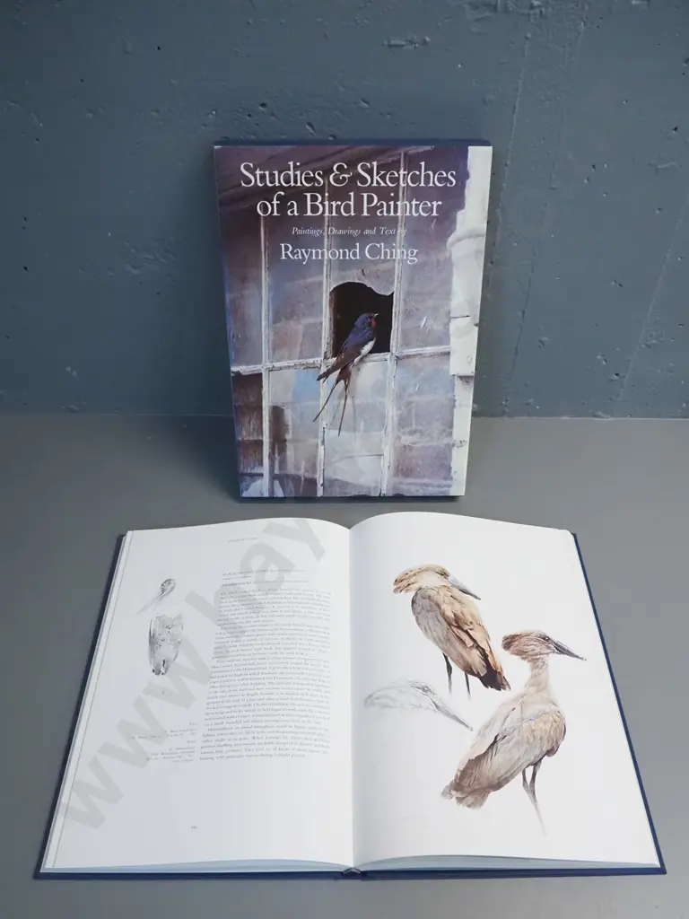 slip-cased book: Raymond Ching - Studies and Sketches of a Bird Painter, pub. 1981 Lansdowne Editions, VG condition Image 1++