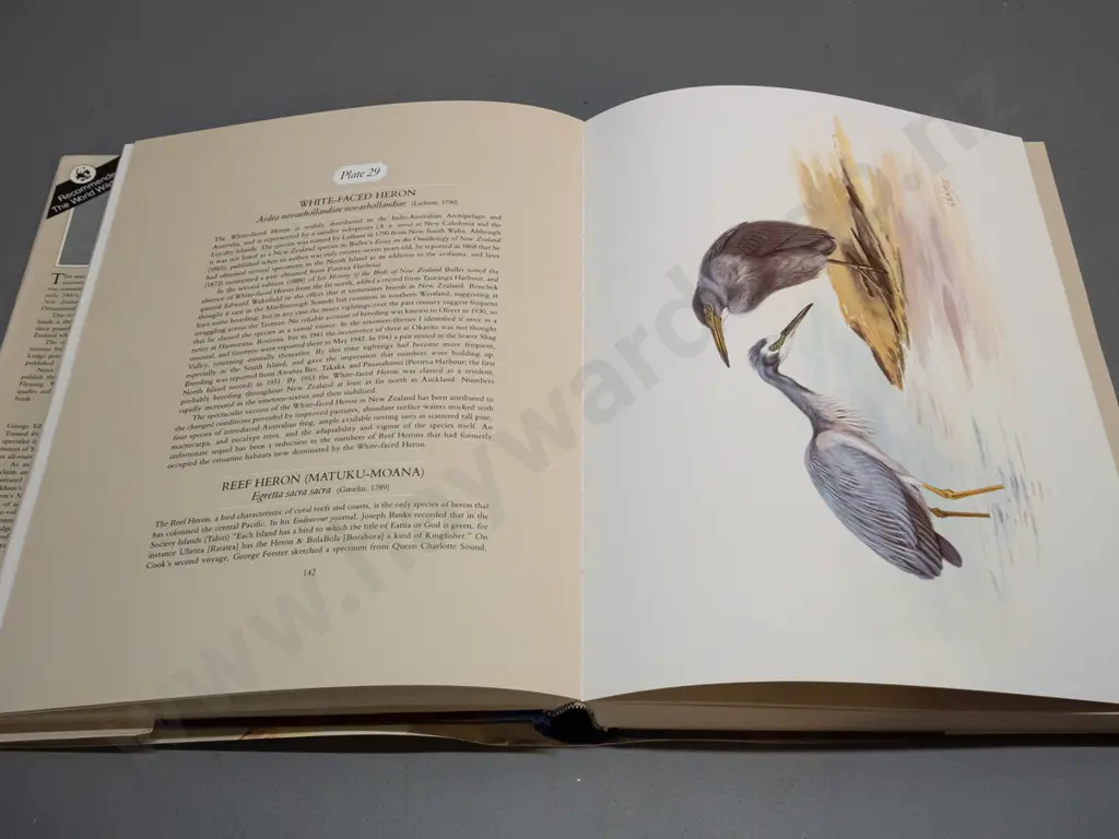 large book - George Edward Lodge - Unpublished Bird Paintings - 1982, first edition Image 1++