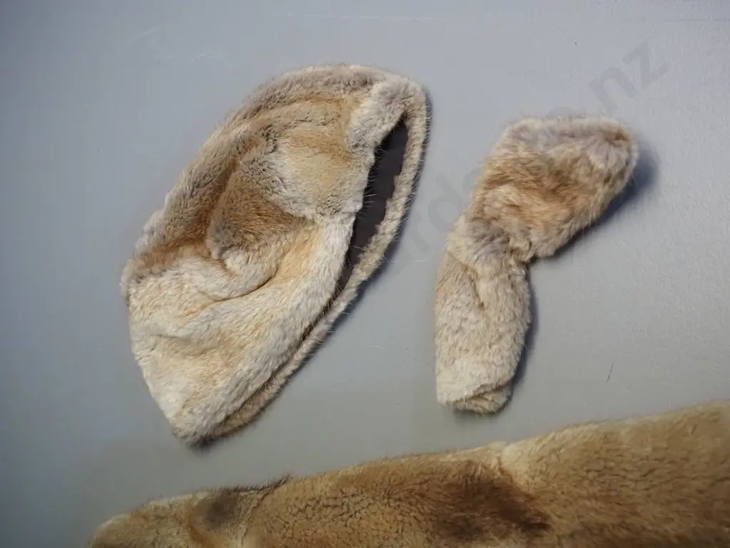 long light brown fur coat Image 1++