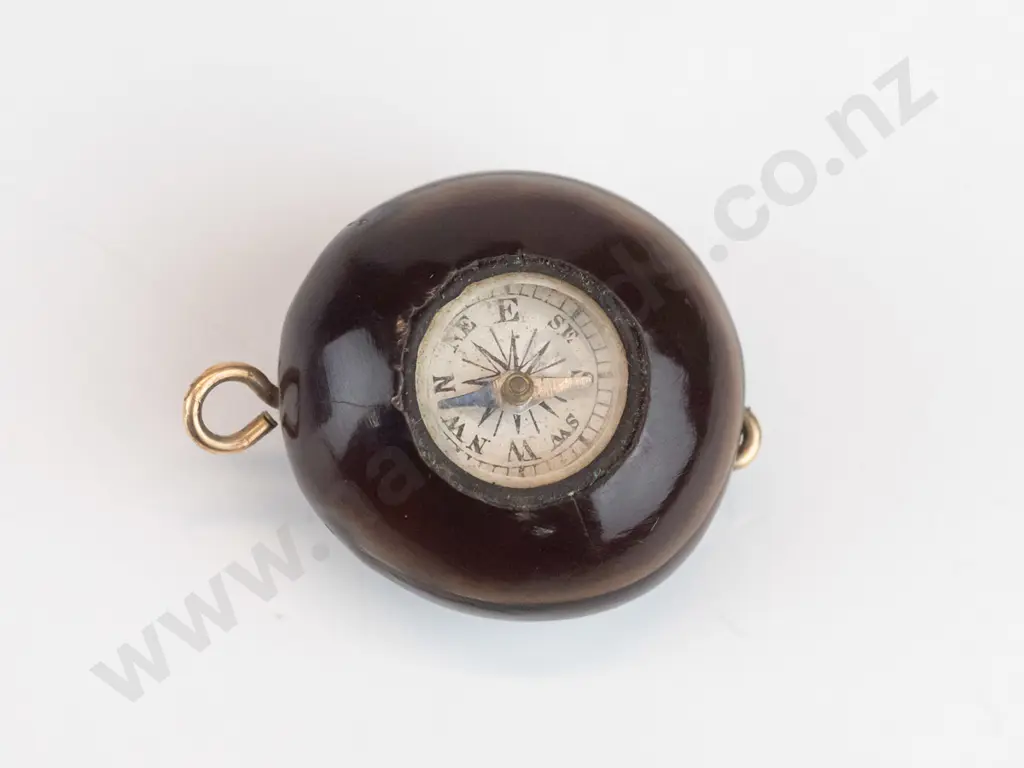 small compass Image 1++
