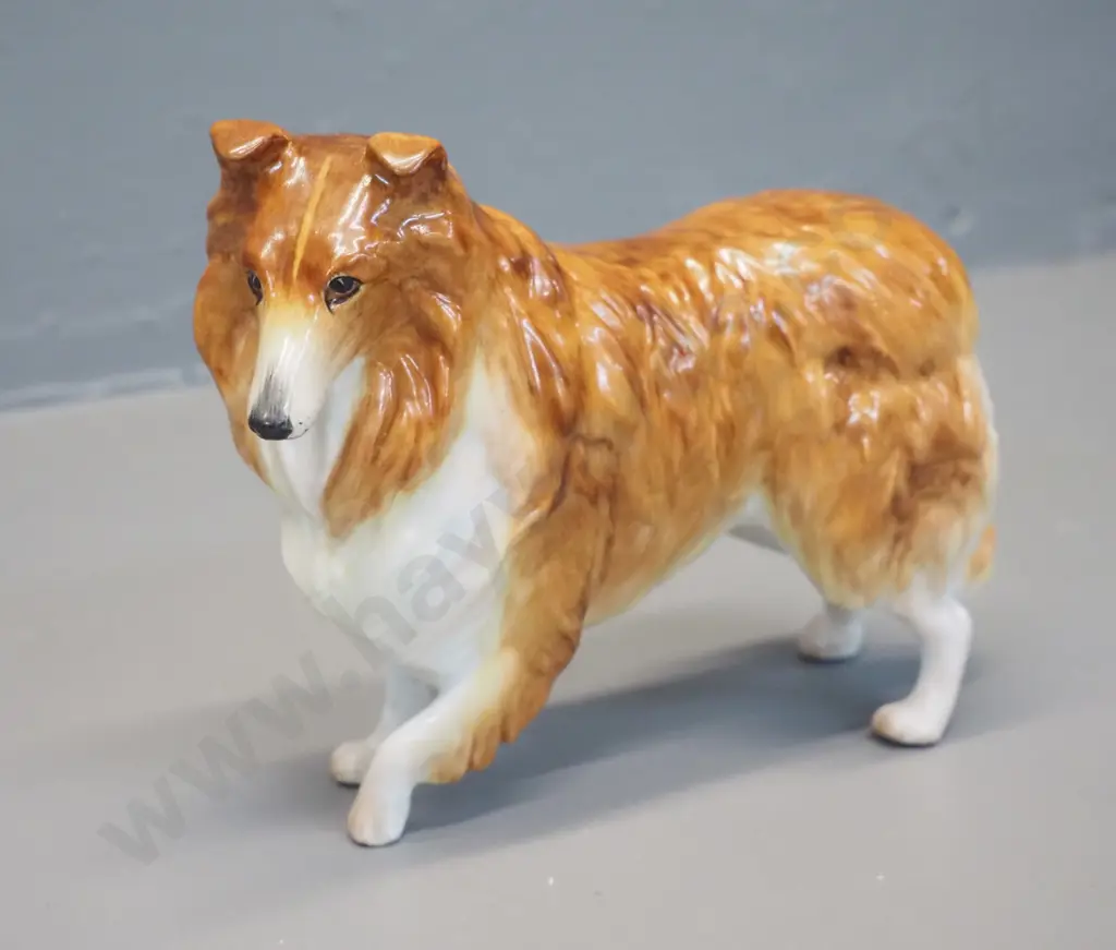 Coalport collie dog figurine H-130 L-190 Image 1++