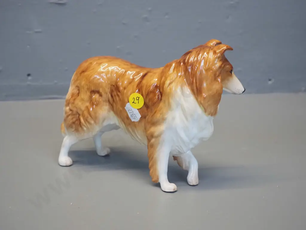 Coalport collie dog figurine H-130 L-190 Image 1++