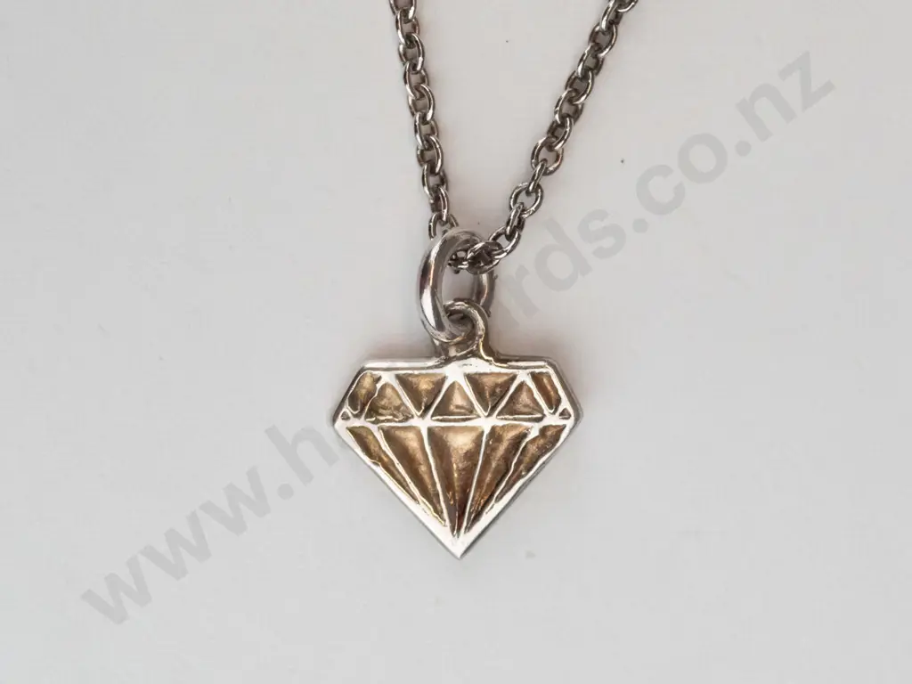 silver necklace stamped 925 Image 1++
